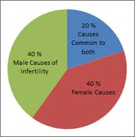 Infertility causes of men and women