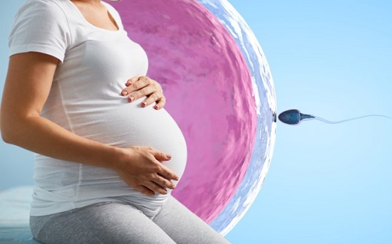 IVF Treatment In Bangalore