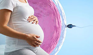 IVF Treatment In Whitefield